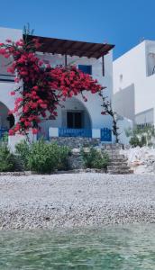 a house with red flowers in front of it at Family house by the seaside of Karavostasis in Karavostasi
