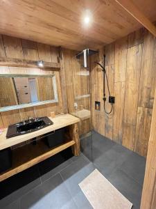 uma casa de banho com um lavatório e um chuveiro em Villa Bosca - Adults Only em Predazzo