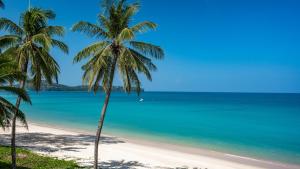 a beach with palm trees and the ocean at SAii Phi Phi Island Village in Phi Phi Islands