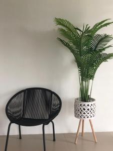 ein schwarzer Stuhl und eine Pflanze neben einer Wand in der Unterkunft Nur Villa Sg Soi in Kuantan
