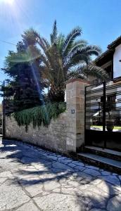 una palma di fronte a una recinzione di Παραδοσιακή κατοικία-Παλιά Πόλη a Tríkala