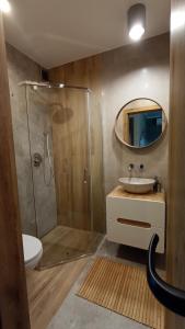 a bathroom with a shower and a sink and a mirror at Apart Home Bieszczady in Uherce Mineralne