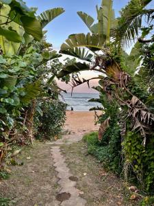 a dirt path leading to a beach with palm trees at Gracelands Beach Lodge in Ramsgate