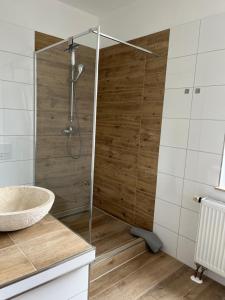 y baño con ducha y lavamanos. en Gästehaus die Erfurter, en Erfurt