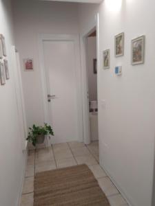un pasillo blanco con una puerta y una maceta en Gioberti, en Casale Monferrato