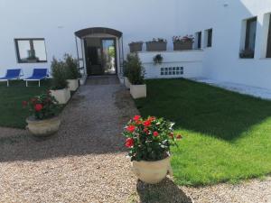 Сад в Hotel Villa Sveva