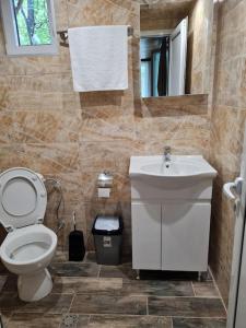 bagno con servizi igienici e lavandino di Вила Вайлин a Batak