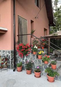 a bunch of potted plants sitting on the side of a building at Вила Вайлин in Batak