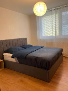 Posteľ alebo postele v izbe v ubytovaní Apartmán Hlboký potok