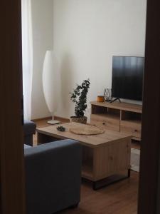 Televízia a/alebo spoločenská miestnosť v ubytovaní Apartmán Hlboký potok