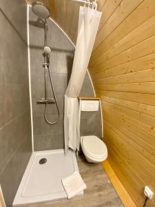 a small bathroom with a shower and a toilet at Domaine du Heidenkopf in Niederbronn-les-Bains