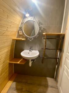 ein Bad mit einem Waschbecken und einem Spiegel in der Unterkunft Domaine du Heidenkopf in Niederbronn-les-Bains