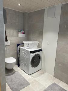 a washing machine in a bathroom with a toilet at Chalet Belle Poncke in Nendaz