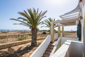 a house on the beach with a palm tree at Oceanviewvilla in Karpathos