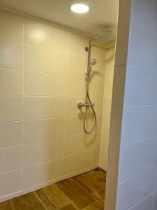 La salle de bains est pourvue d'une douche avec un pommeau de douche. dans l'établissement Kahnstübchen, à Lübben