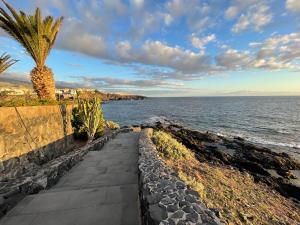 a pathway next to the ocean with a palm tree at Casa Tortuga 1era linea de playa in Alcalá