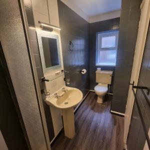 a bathroom with a sink and a toilet at Las Palmas Hotel by the Sea in Blackpool