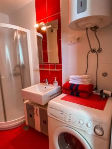 y baño con lavadora y lavamanos. en Mad House Apartment 2, Terme Čatež, en Brežice