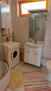 y baño con lavabo y lavadora. en Mandula Apartman, en Szeged