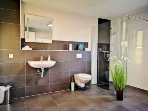 bagno con lavandino, servizi igienici e specchio di Landhaus Kirchberg a Nardt