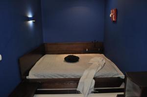 a small blue room with a bed in a room at Dwell Apartments in Kremenchuk