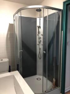 y baño con ducha y puerta de cristal. en Les Salines, en Montmorot