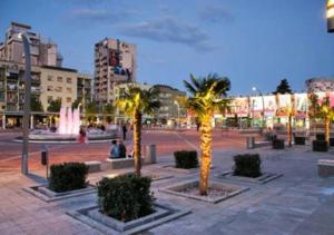 a group of palm trees in a city square at Apartment Heart of Podgorica in Podgorica
