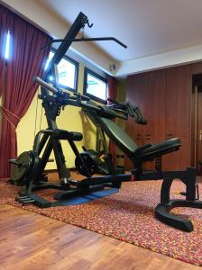 una palestra con tapis roulant in una stanza di Admiral Hotel Villa Erme a Desenzano del Garda