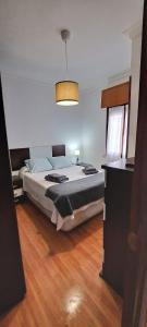 1 dormitorio con 1 cama en una habitación en Apartamento Jarrillero, en Portugalete