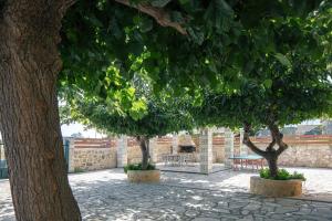 a group of three trees in a courtyard at Villa Pinelopi in Asprouliánoi