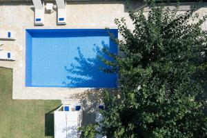 an overhead view of a swimming pool next to a tree at Villa Pinelopi in Asprouliánoi