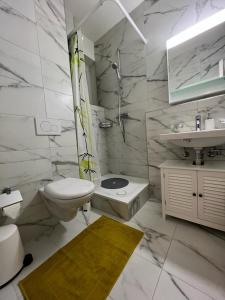 Koupelna v ubytování Comfortable Fully Furnished Studio Apartment in Zurich @ S-2