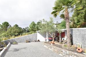 cortile con palme e parete di Charming Villa in Fajã da Ovelha with Private Pool a Fajã da Ovelha