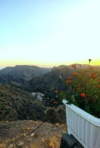 un planteur rempli de fleurs assis au sommet d'une montagne dans l'établissement ROSES HOUSE OMAN 2, à Al ‘Aqar