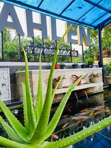A garden outside Ahlen Pangandaran
