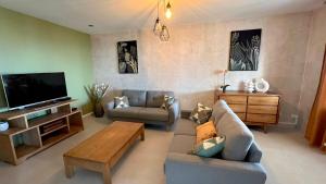 a living room with a couch and a tv at Villa Horizon in Saint-Joseph