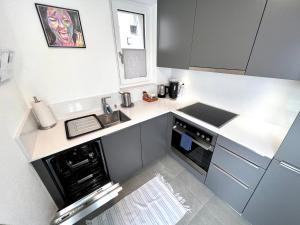 uma pequena cozinha com um fogão e um lavatório em MarAvilia Apartment - Nuova Wallbox per ricarica auto elettriche em Monte Ceneri