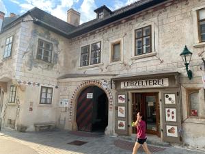 Stylish Youthful Condo in the Heart of Mödling, Fiatalos Boldog Otthon Mödling Szivébenの宿泊客