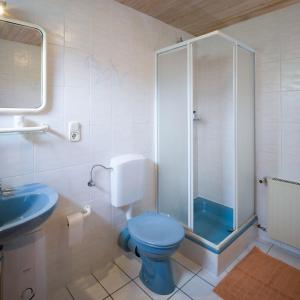 een badkamer met een blauw toilet en een douche bij Haus Gartenstrasse in Merzig