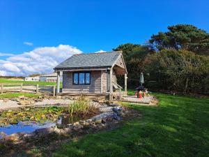 a small cabin with a pond in a yard at Hawk's Nest in Wadebridge
