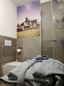 La salle de bains est pourvue d'une douche et d'une serviette sur un lit. dans l'établissement Stanza Allegra Soave, à Soave