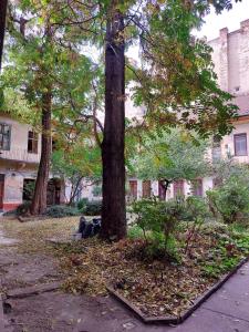 ブダペストにあるHi-Bp Origo Apartmentの建物前の地草の木