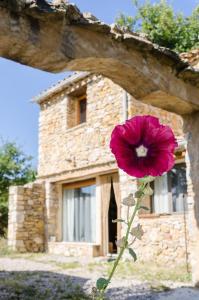 a pink flower in front of a stone house at L'Oustaou des Monges in Mollans-sur-Ouvèze