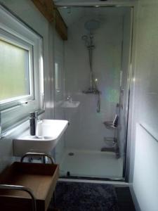 een witte badkamer met een douche en een wastafel bij Hawk's Nest in Wadebridge