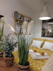 Apartman 7th Heaven في زغرب: غرفة معيشة بها أريكة وبعض النباتات