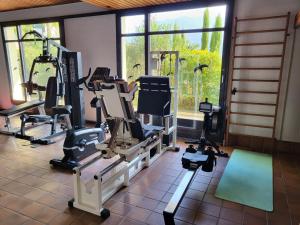 Fitness centrum a/nebo fitness zařízení v ubytování Ferienwohnung Montana Lago