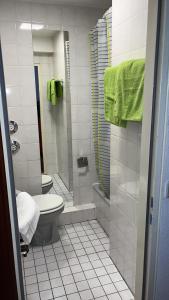 La salle de bains est pourvue d'une douche et de toilettes. dans l'établissement Good living, à Schwetzingen