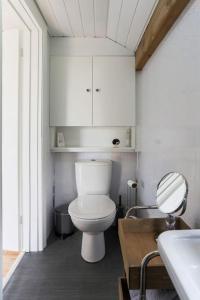 een badkamer met een toilet, een wastafel en een spiegel bij Hawk's Nest in Wadebridge