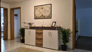 eine Küche mit einer Spüle und einer Theke mit Pflanzen in der Unterkunft Ferienwohnung-Kormann in Schkopau