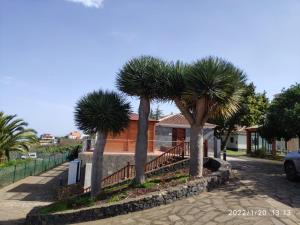 a row of palm trees in front of a house at Hotel Rural Casablanca in Los Realejos